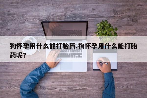 流产药狗怀孕用什么能打胎药.狗怀孕用什么能打胎药呢？