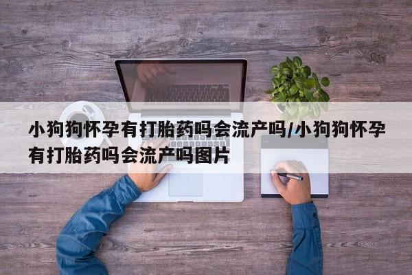 流产药小狗狗怀孕有打胎药吗会流产吗/小狗狗怀孕有打胎药吗会流产吗图片