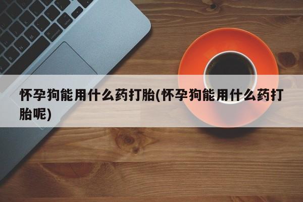流产药怀孕狗能用什么药打胎(怀孕狗能用什么药打胎呢)