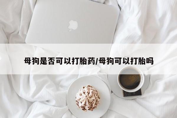 流产药母狗是否可以打胎药/母狗可以打胎吗