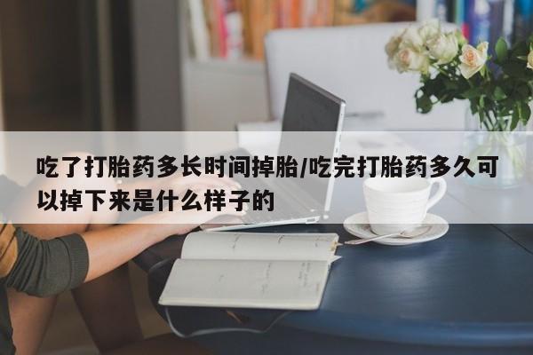 流产药吃了打胎药多长时间掉胎/吃完打胎药多久可以掉下来是什么样子的